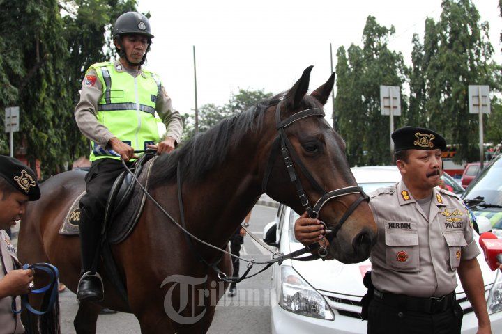 Kuda dan Ajing Pelacak Jaga di Terminal KP Rambutan