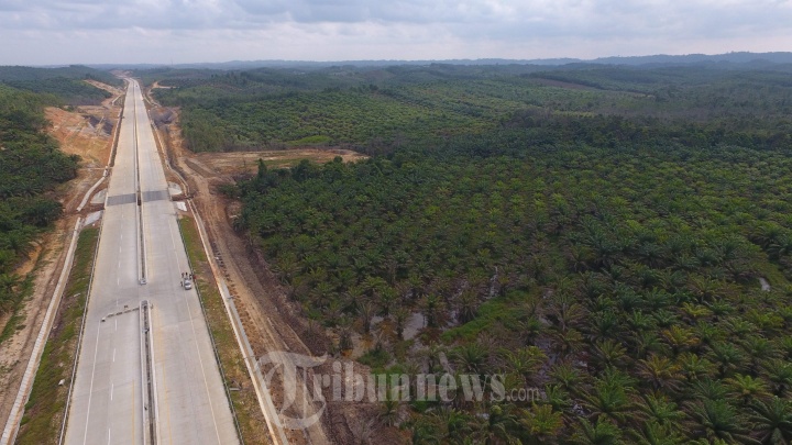 Suasana salah satu sudut Tahura Bukit Soeharto Kelurahan Bukit Merdeka, Kecamatan Samboja, Kukar, Rabu (31/7). Lokasi yang berdekatan proyek jalan tol Seksi 2 Balikpapan Samarinda di KM 45 ini pernah ditinjau Presiden Joko Widodo saat mencari kandidat ibu kota baru. Di kawasan ini juga ditemui beberapa penanda geospasial dari Badan Informasi Geospasial RI. 