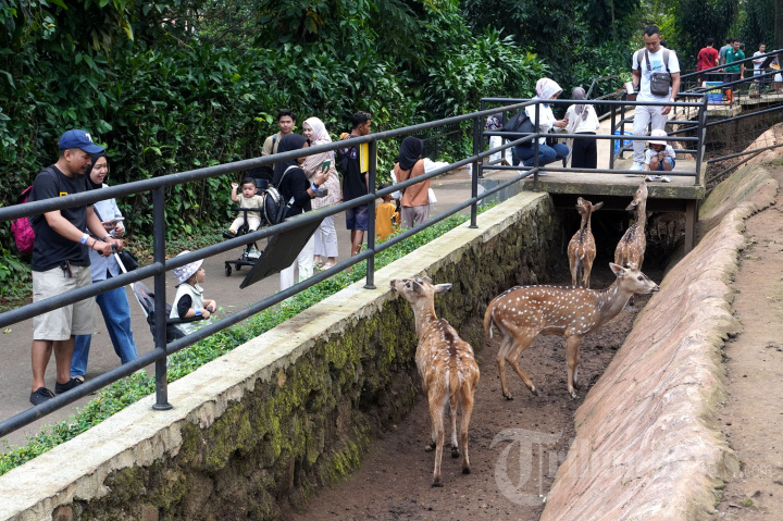 Libur Cuti Bersama Bandung Zoo Ramai Pengunjung