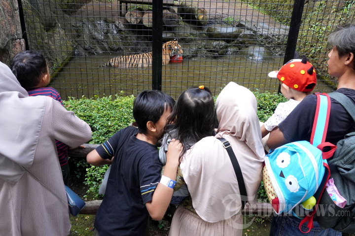Libur Cuti Bersama Bandung Zoo Ramai Pengunjung