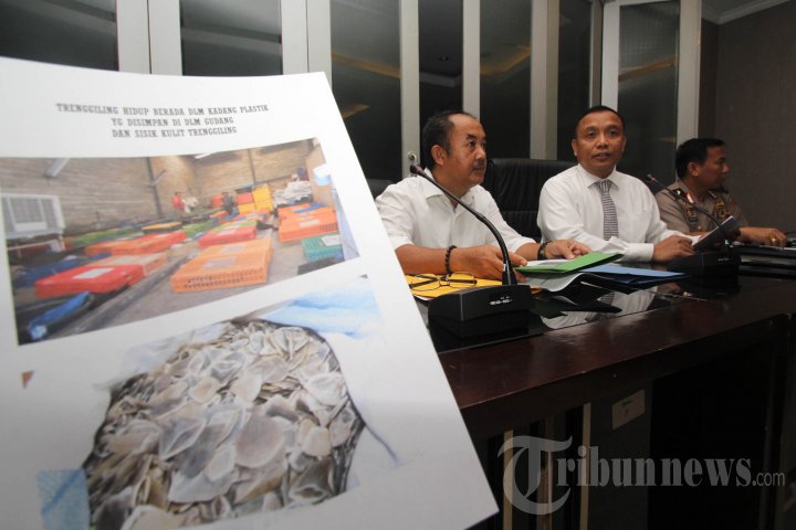 Mabes Polri Gagalkan Penyelundupan Trenggiling