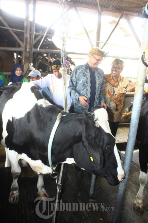 Marco Spitz Resmikan Pabrik Frisian Flag