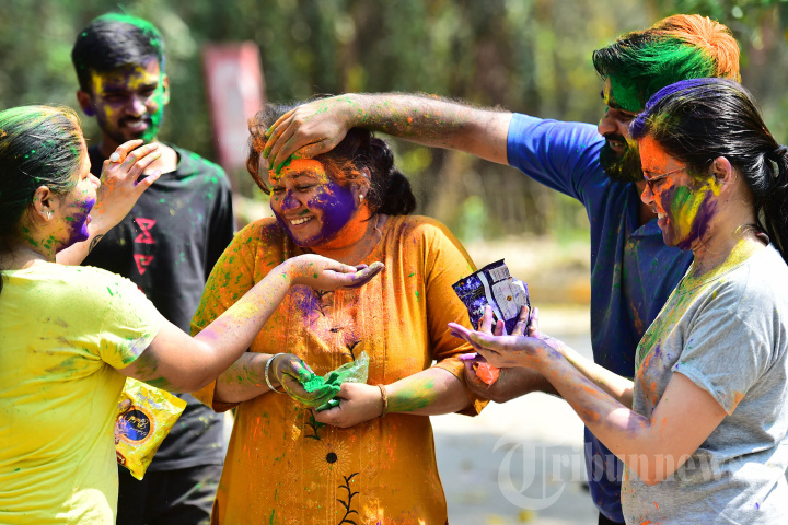 Melihat Festival Holi di India yang Penuh Warna