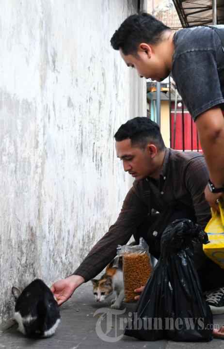 Memberi Makan Kucing Liar di Pasar Hewan Splendid Malang
