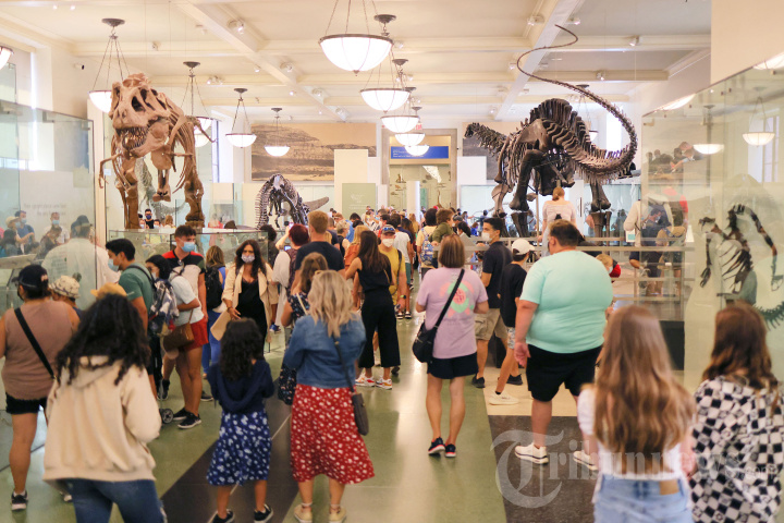 Mengenal Sejarah di American Museum of Natural History
