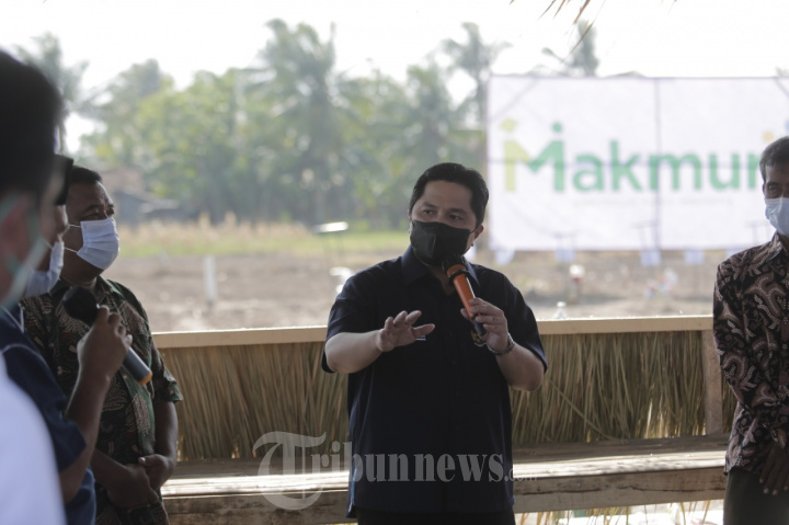 Menteri BUMN Tinjau Tanam Jagung Dalam Program Makmur