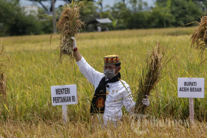 Menteri Pertanian Potong Padi di Aceh Besar