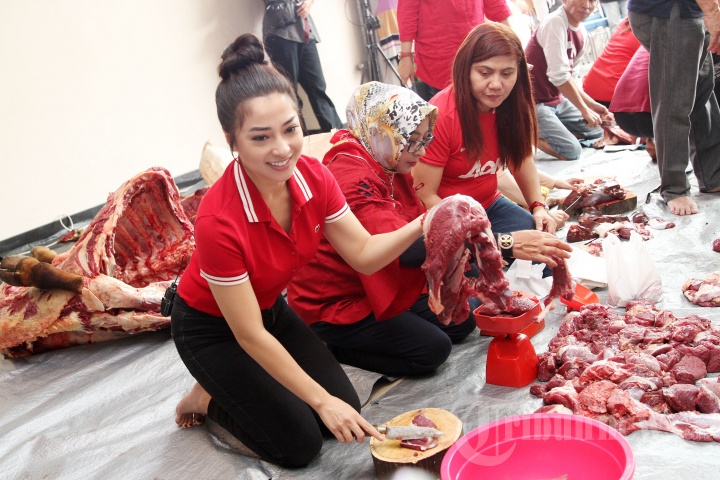 Nikita Willy Berkurban Sapi