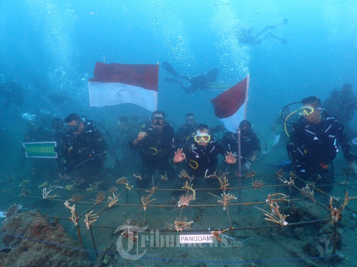 Pangdam Pattimura Tanam Terumbu Karang di Dasar Laut Maluku