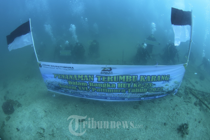 Pangdam Pattimura Tanam Terumbu Karang di Dasar Laut Maluku