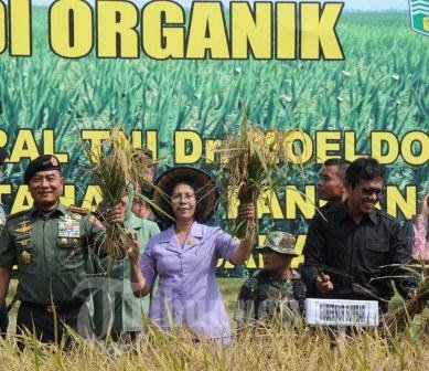 Panglima TNI Bangga Prajuritnya Bermanfaat bagi Masyarakat