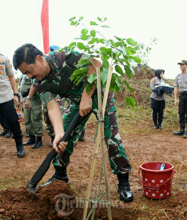 Panglima TNI Peringati Hari Gerakan Sejuta Pohon Dunia