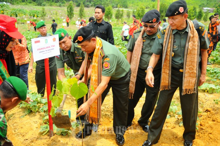 Panglima TNI Tanam Pohon Kemiri di Perbatasan Kalbar