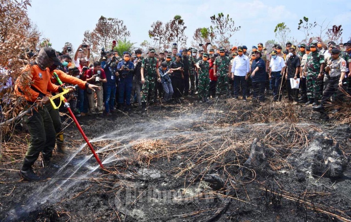 Panglima TNI Tinjau Karhutla di Palangkaraya