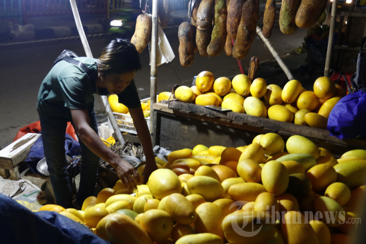Pedagang Timun Suri Mulai Marak di Bulan Ramadan