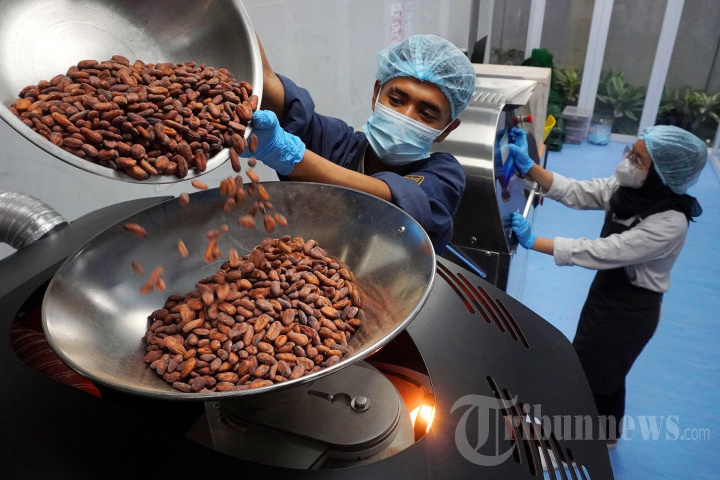 Pembuatan Cokelat Berbagai Varian di Terve Chocolate
