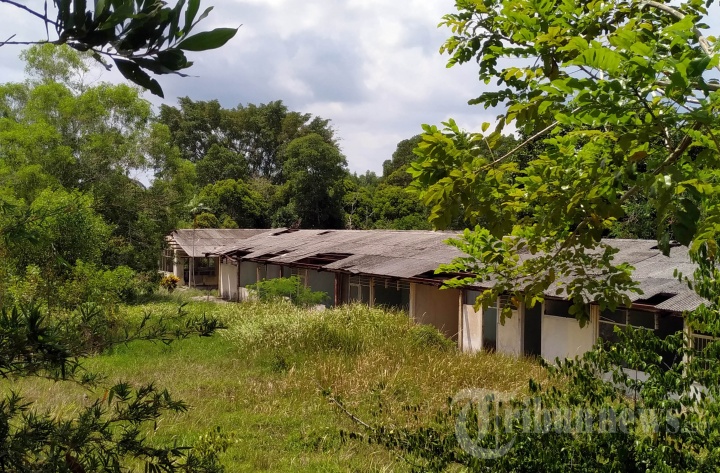 Bangunan terbengkalai bekas rumah sakit lahan eks camp Vietnam di Pulau Galang, Kepri, yang direncanakan akan kembali difungsikan sebagai rumah sakit khusus rehabilitasi dan observasi, Rabu (4/3/2020). Pemerintah berencana merehabilitasi rumah sakit di Pulau Galang, Kepulauan Riau, agar bisa digunakan melakukan observasi bagi pasien terduga virus corona. 