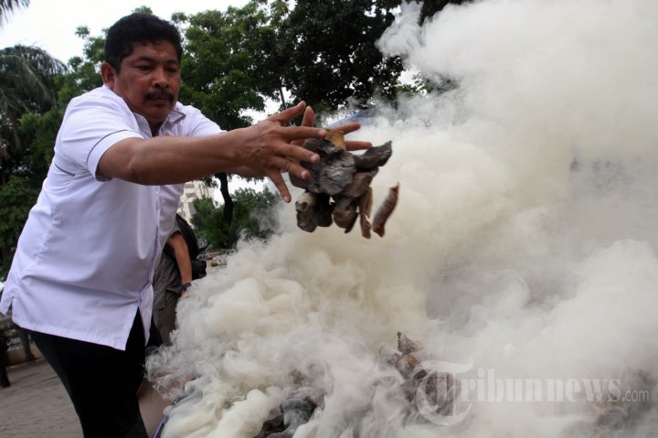 Pemusnahan Barang Bukti Perdagangan Satwa Langka