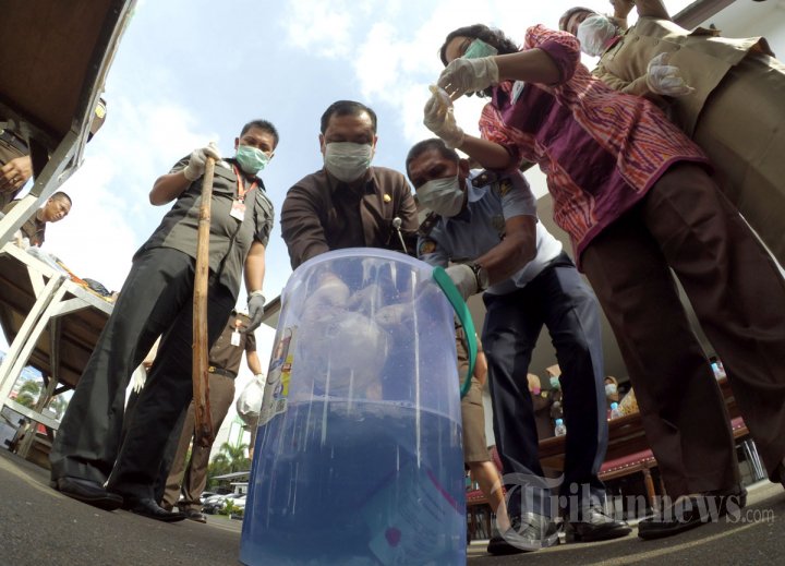 Pemusnahan Barbuk di TPA