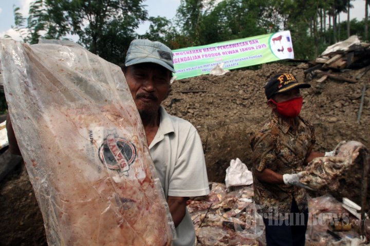 Pemusnahan Daging Tidak Layak Konsumsi