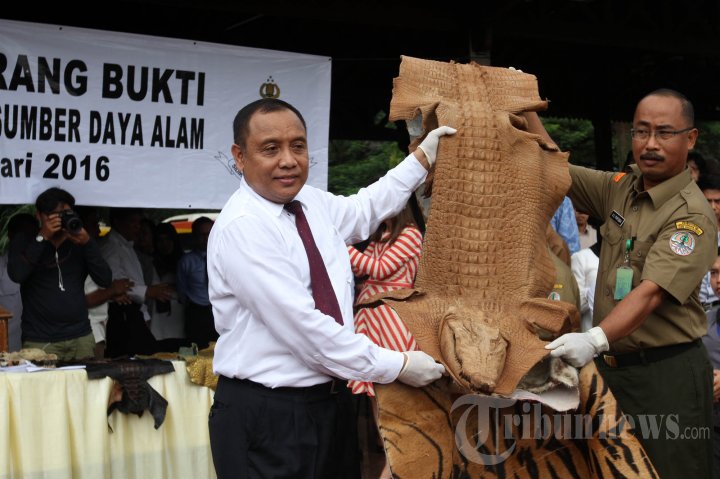 Pemusnahan Kejahatan Sumber Daya Alam