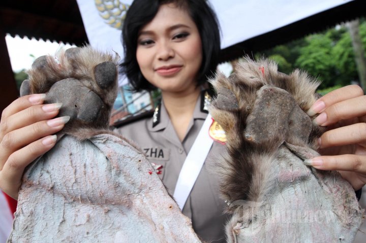 Pemusnahan Kejahatan Sumber Daya Alam