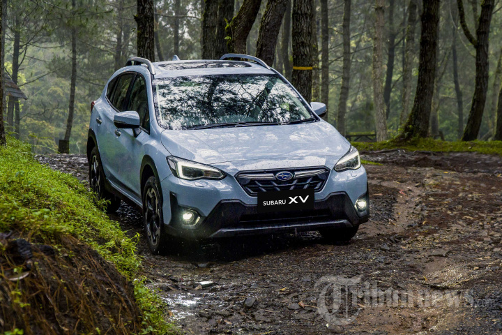 Penampilan Mobil SUV Subaru XV dan Forester