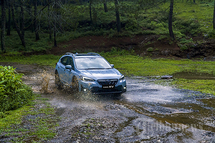 Penampilan Mobil SUV Subaru XV dan Forester
