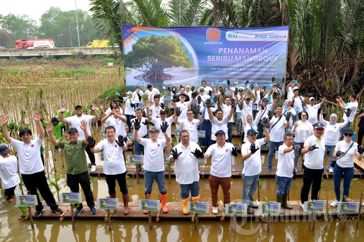 Penanaman 1000 Mangrove REI DKI Jakarta