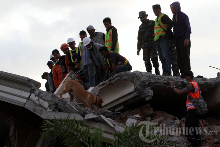 Pencarian Korban Gempa Lombok