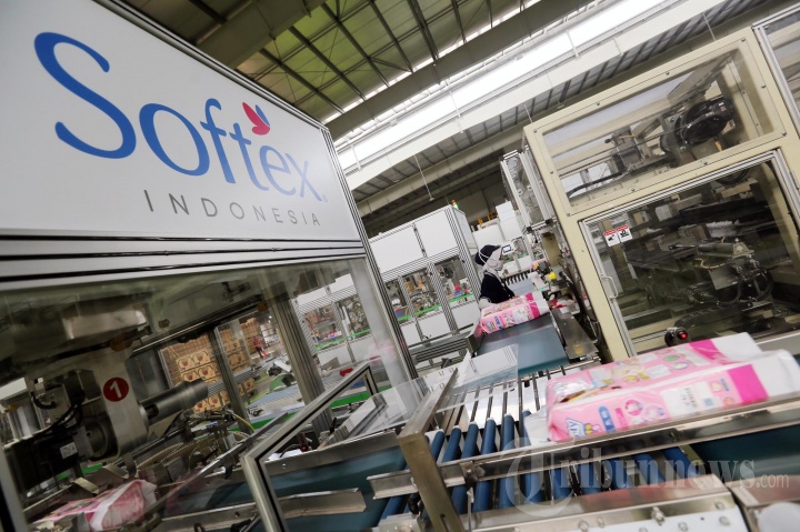 Pengembangan Pabrik PT Softex Indonesia