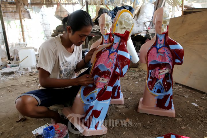 Manusia Purba di Indonesia Jejak Sejarah Evolusi Manusia