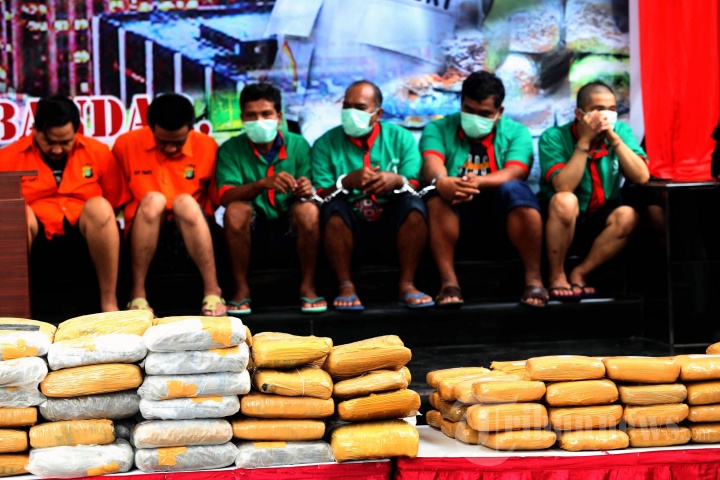 Pengungkapan Kebun Penghasil 1,3 Ton Ganja