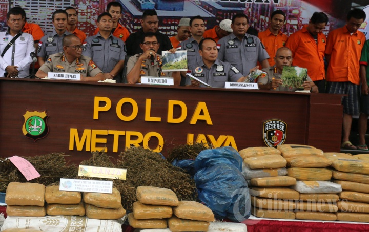 Pengungkapan Kebun Penghasil 1,3 Ton Ganja