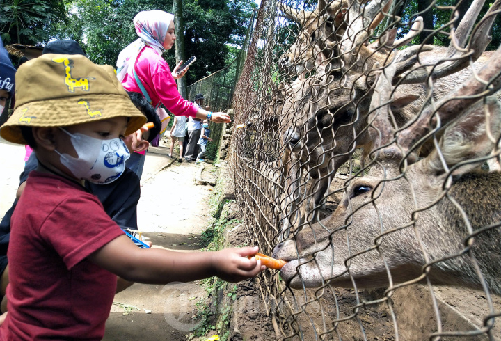Pengunjung Kebun Binatang Bandung Meningkat