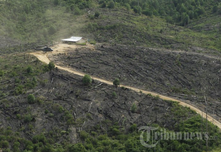 Penyegelan Lahan Terbakar di Taman Nasional Tesso Nilo
