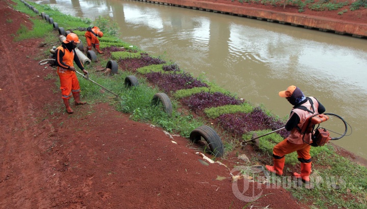 Perawatan Taman Pilar Jati