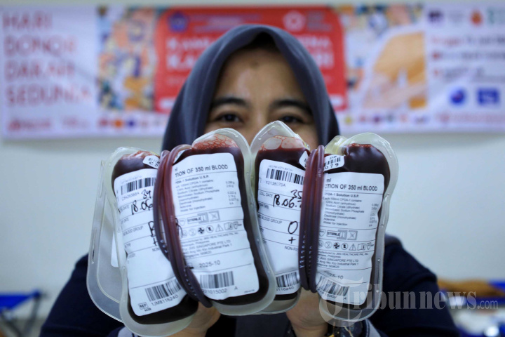 Peringatan Hari Donor Darah Sedunia di Kota Batam