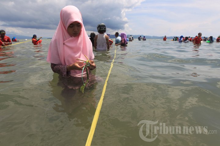 Pertamina Peduli Ekosistem Laut