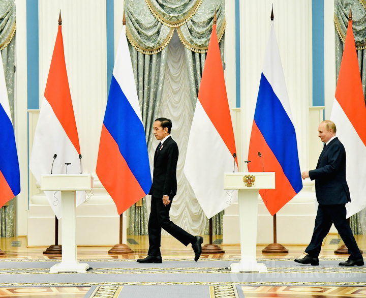 Pertemuan Presiden Jokowi dengan Presiden Putin
