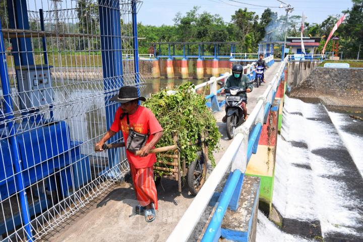 Petugas BBWS Brantas Pantau Bendung Irigasi Sungai Amprong Malan