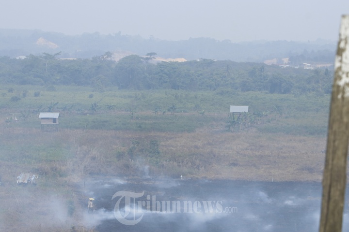 Petugas Berusaha Memadamkan Kebakaran Hutan