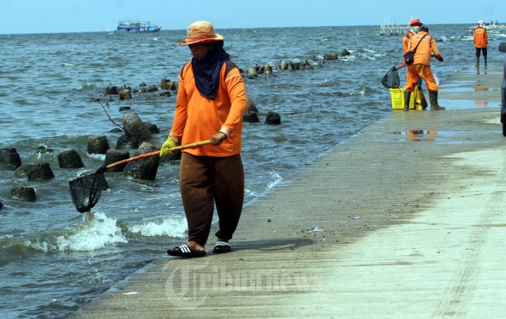 Petugas Membersihkan Pantai Muara Angke
