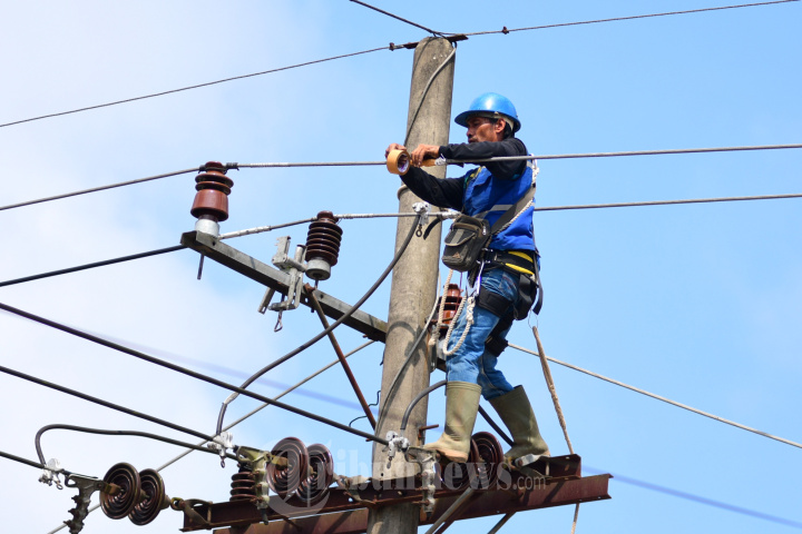 Petugas PLN Melakukan Pemeliharaan Jaringan Listrik