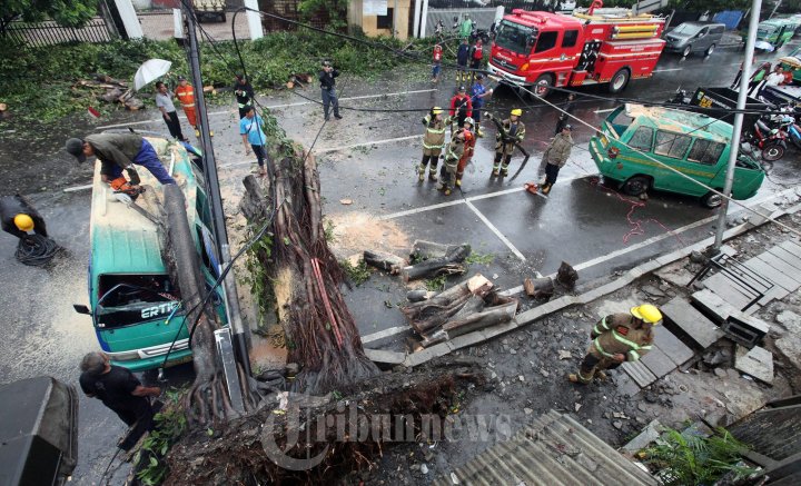 Petugas Potong Pohon Tumbang Timpa Mobil