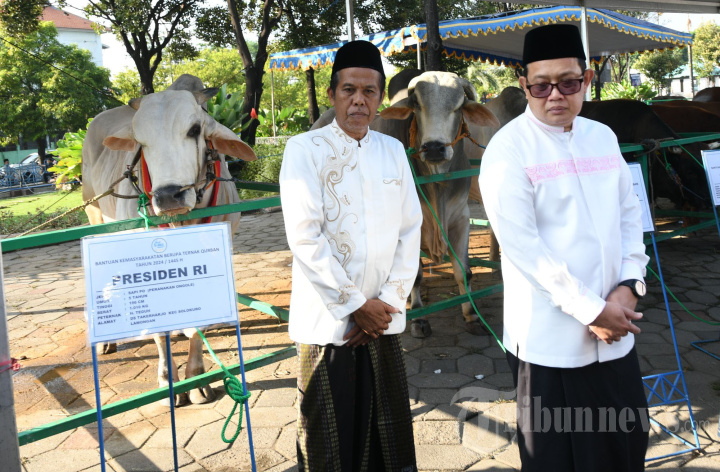 Pj Gubernur Jatim Serahkan Sapi Bantuan Presiden