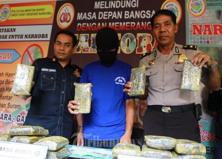Polda Kalbar Konpers Penangkapan Pengedar Ganja