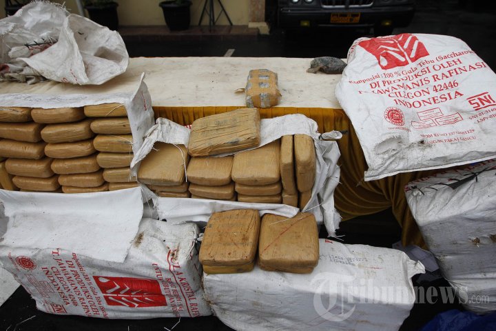 Polres Jakarta Barat Sita Dua Ton Ganja