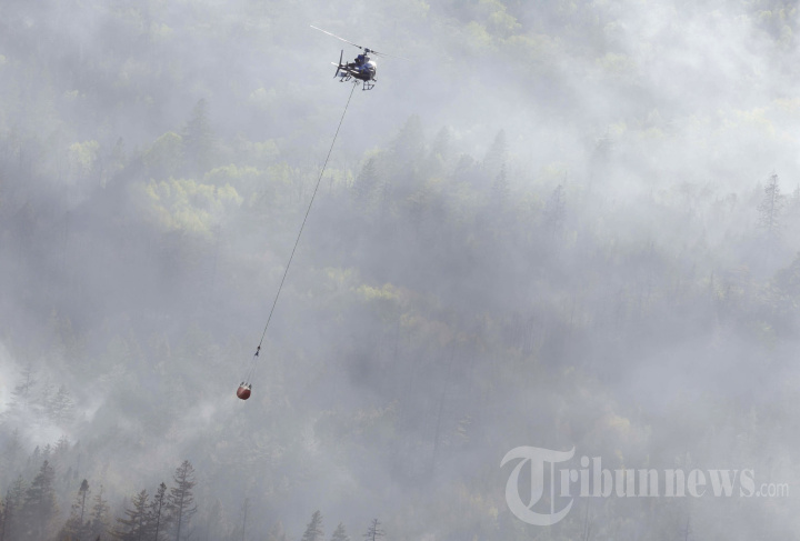 Potret Ngeri Kebakaran Hutan di Kanada