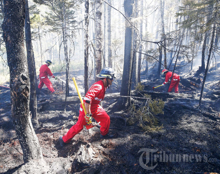 Potret Ngeri Kebakaran Hutan di Kanada